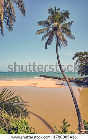 Retro toned picture of a tropical beach with coconut palm trees, Sri Lanka.