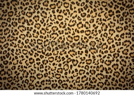 leopard skin background texture, real fur retro design, close-up wild animail hair modern beauty in nature