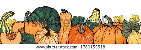 Autumn pumpkin seamless border. Vector color hand-drawn illustration with a black outline on a white background. Different types of pumpkin, pumpkin flower, pumpkin leaf.