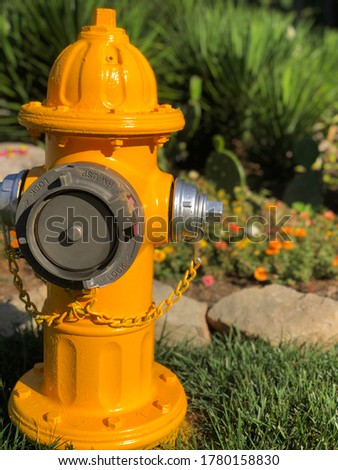 Freshly painted bright yellow fire hydrant in residential street setting.