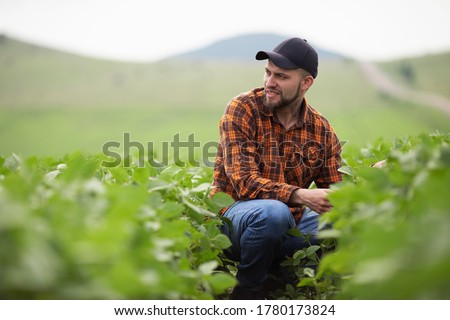 Farmer agronomist on a growing green soybean field. Agricultural industry. Royalty-Free Stock Photo #1780173824