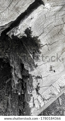 grayscale log with hole inside