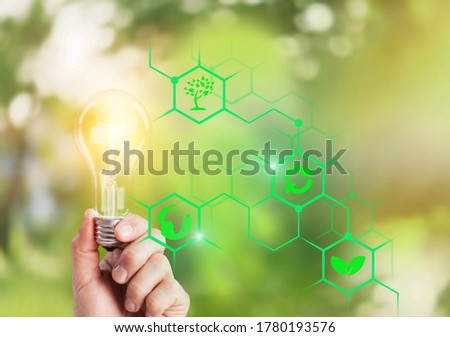 Green energy concept, hand holding a light bulb