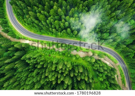 Aerial view of road in beautiful green forest in low clouds at sunset in summer. Colorful landscape with roadway in fog, pine trees in Carpatian mountains. Top view of highway. Travel in Ukraine Royalty-Free Stock Photo #1780196828