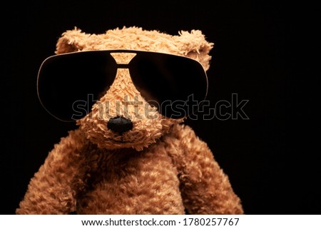 image of toy bear sunglasses 