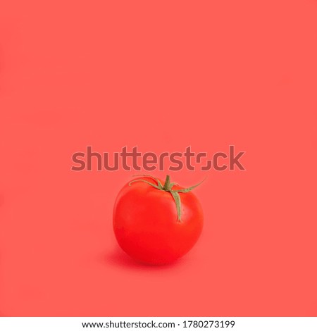 Ripe red tomato with a green tail on a red background