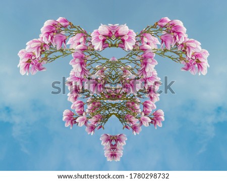 symmetrical ornament from magnolia flowers blue sky