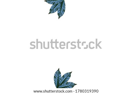 The leaves background on the white paper