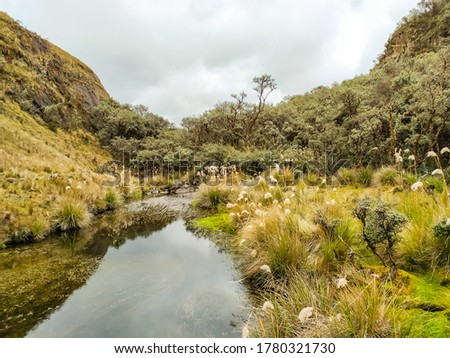 Las Cajas National Park in Ecuador: Alpine Landscape
