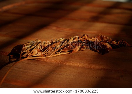 Vintage Dried brown autumn fern leaves on wooden board background. textured plants. Nature. flat lay design.