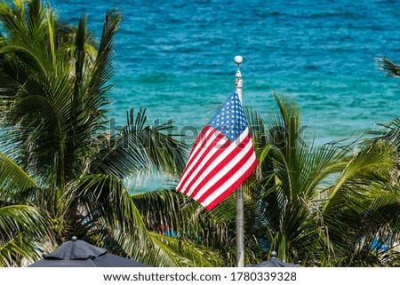 American flag waving on palm trees and ocean background
