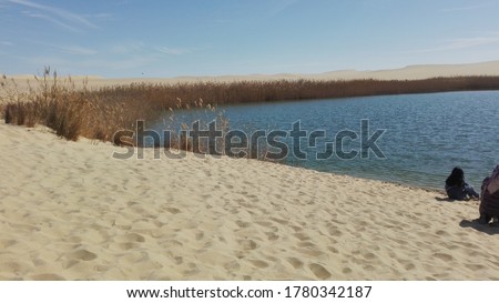 On the shore of lake there are people grass, Sand Hill landscape,Sunshine,clear sky zone
