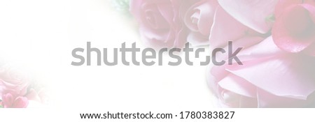 
Sweet color of petal in blur style .Flower background design