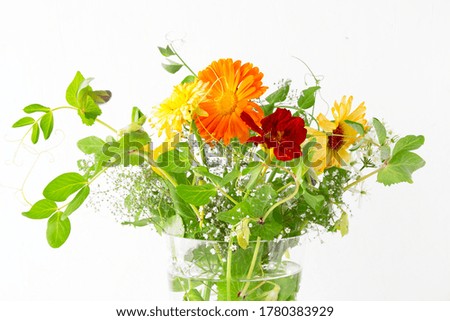 flower arrangement of peas, calendula and nasturtium on a white background