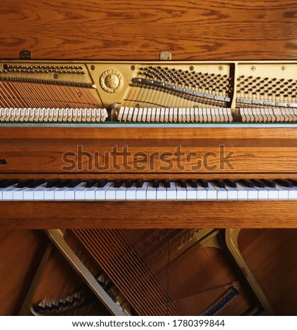 Straight on view of a beautiful wooden piano, opened up to see its inner workings!