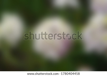 Blurred abstract photo of a flower on a field for slide background