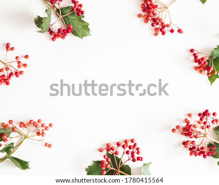 Autumn composition. Frame made of rowan berries on white background. Autumn, fall concept. Flat lay, top view