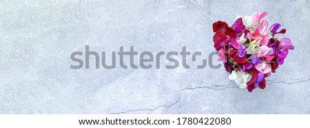 Bouquet sweet peas, gray grungy wide, panorama background. Minimalist photography from above, flat lay. Backdrop, banner, perfect for social media websites, greeting cards, copy space, place for text.