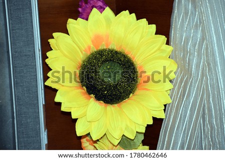 Beautiful picture of sunflower in room