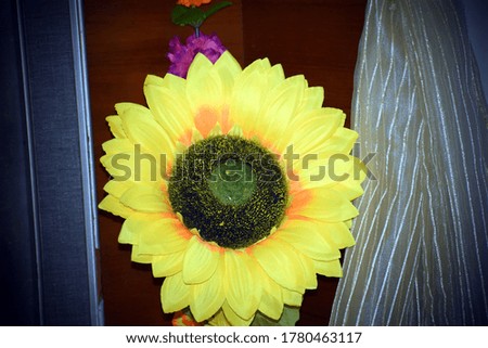 Beautiful picture of sunflower in room Uttarakhand India