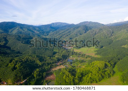 Arial view of rice fields and mountain 