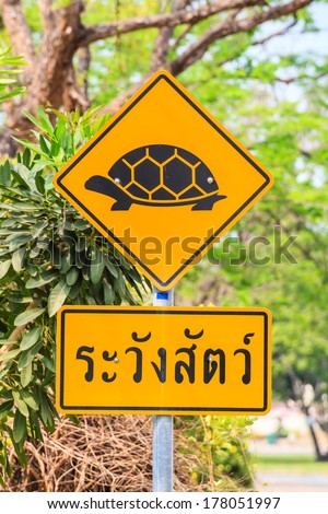 Attention tortoise crossing road sign