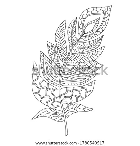 Decorative feather with small and middle pattern on white isolated background. For coloring book pages.