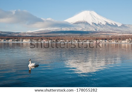 Mt Fuji over the lake Yamanakako