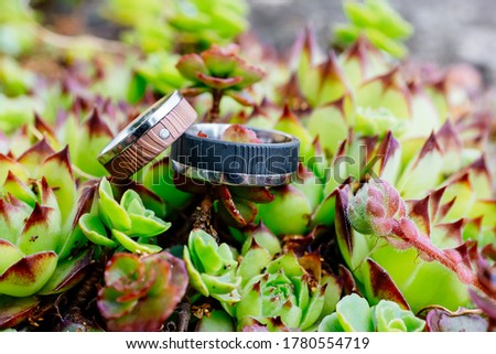 Special wedding rings with wooden look on succulents as a sign of commitment love and togetherness