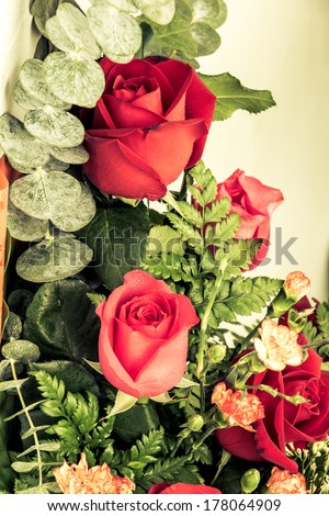 Red rose with vintage style background
