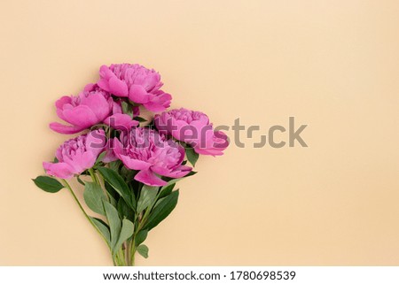 Bunch of peonies on a beige background. Floral composition with place for text.