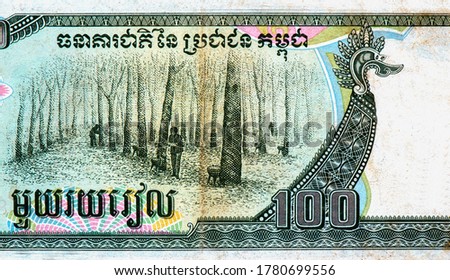 Rubber trees, Portrait from Cambodia 100 Riels 1990 Banknotes. 
