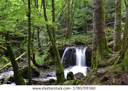 Sewen waterfalls in the Vosges, Long exposure and hdr