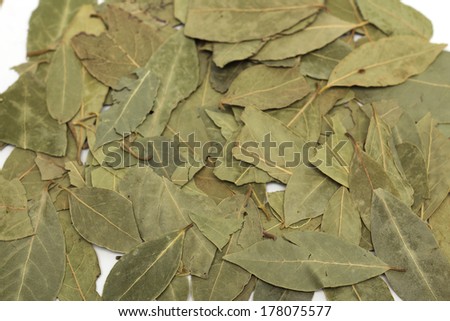 Bay leaf. Background. Photo.