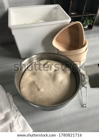 Bubbly Sourdough Dough in fermentation