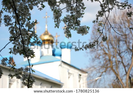 Eastern Orthodox crosses on golden domes against the blue sky with clouds. Apple tree branches with flowers. Bryansk, Russia Royalty-Free Stock Photo #1780825136