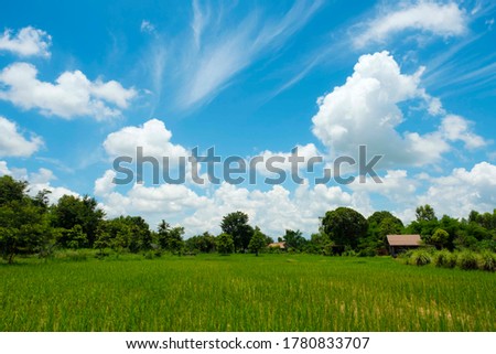 landscape picture of green field with blue sky and white clouds.