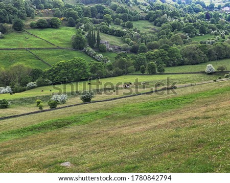 A landscape view across Shibden Valley, with fields, cattle, meadows and trees in Halifax, UK