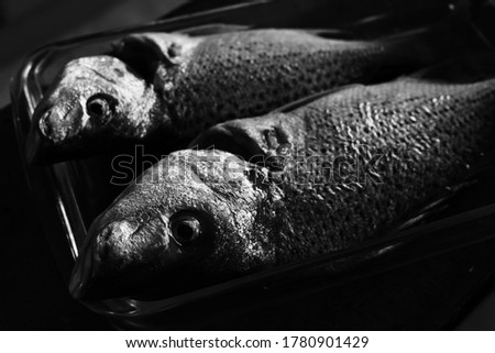 Two freshly caught Spotted Grunters (fish) inside a dimly lit kitchen. This is a popular South African food type. 