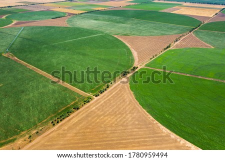 aerial view to circles of green wheat fields from drone