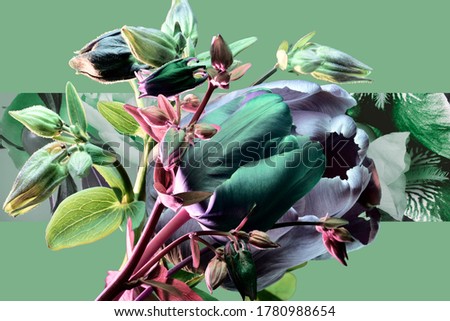 flowers tulips and aquilegia, bright colors, floral fashion collage, turquoise and purple buds, graphic composition.