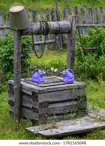 Children's watering cans, for watering, in the shape of elephants are located on the lid of an old wooden well. Chamomiles are visible from the watering cans.