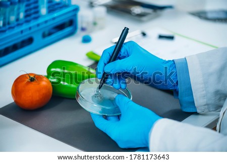 Food safety and quality analysis in a specialized microbiology laboratory, microbiologist working with fruit and vegetable samples Royalty-Free Stock Photo #1781173643