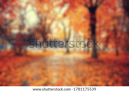 blurred background autumn forest, abstract art sunny autumn park, glow yellow october view