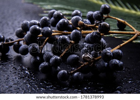Raspberry clusters next to green and fresh leaves of plants with a black background ..