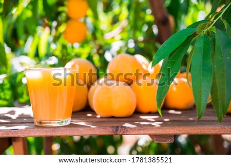 still life of ripe appetizing yellow peaches and peach juice in glass on table in peach garden