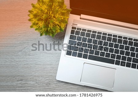 View of a workspace with laptop and flower pot on wooden table