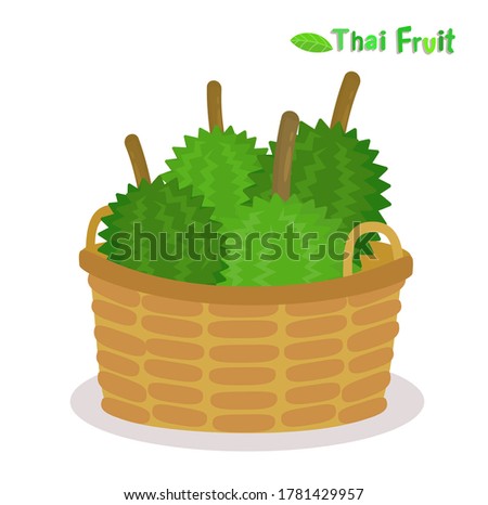 Durian Thai Fruit on White Background Vector