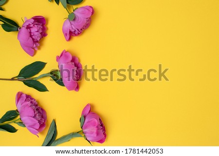 Top view of peonies flowers on a yellow background. Floral composition with copy space.