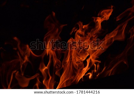 Fire on a dark background in the dark